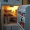 cat in fridge 3