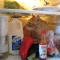 cat in fridge 7