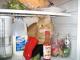 cat in fridge 6
