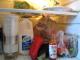 cat in fridge 7