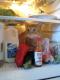 cat in fridge 8