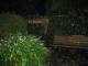 The Benches