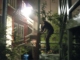 sean trespasses