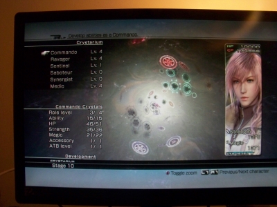 You can only get this far if you've beaten the game.JPG