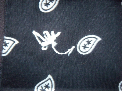 Dax's bandanna!