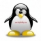 penguin.jpg