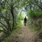 walk