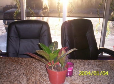 100_1401.JPG