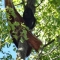 DSC00729.JPG