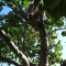 DSC00743.JPG
