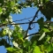 DSC00745.JPG