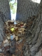 DSC00734.JPG