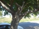 DSC00740.JPG