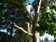 DSC00742.JPG