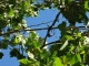 DSC00745.JPG