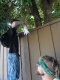 DSC00746.JPG