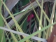 DSC00751.JPG