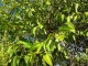 DSC00757.JPG