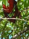 DSC00758.JPG
