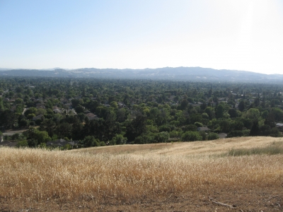 View from the Poppy Spot