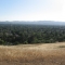 View from the Poppy Spot