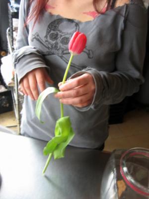 flowers5.jpg