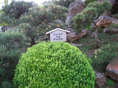 celina - keep on path