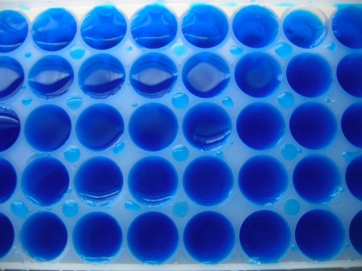 blue tray blue tray