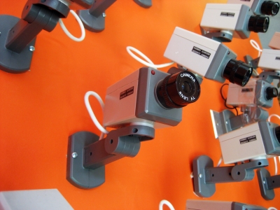 IMG_6965.JPG IMG_6965.JPG