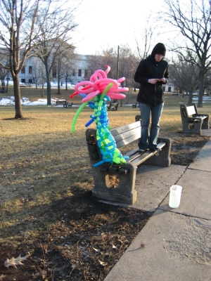 IMG_9560.JPG IMG_9560.JPG