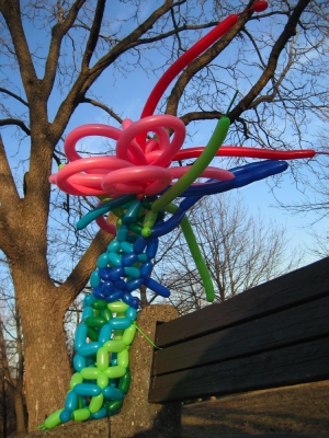 IMG_9562.JPG IMG_9562.JPG