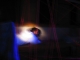 crawling through lasers