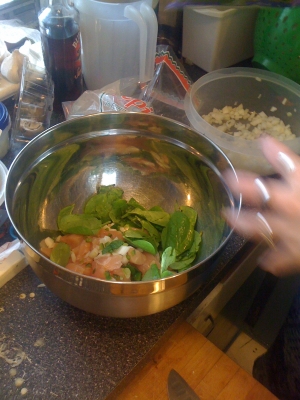 Yakitori marinade w/extra cilantro