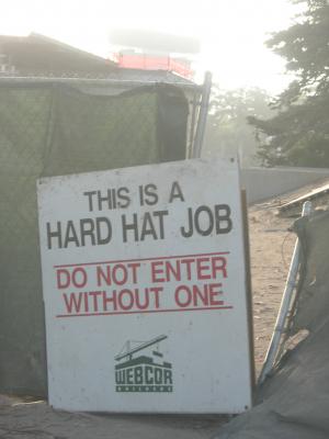 hard hat job.JPG