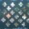 DSCN1704.JPG