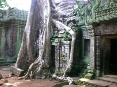 Ta Prohm.
