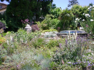 My sanctum: the garden My sanctum: the garden