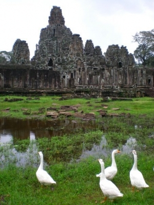 Bayon