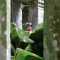 A guard at Ta Prohm