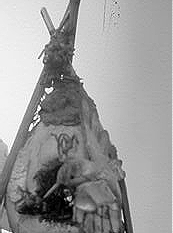 teepee top teepee top