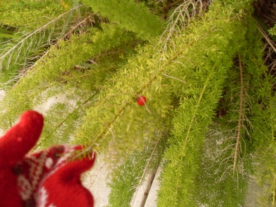 00198.jpg 00198.jpg
