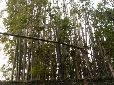 00206.jpg 00206.jpg