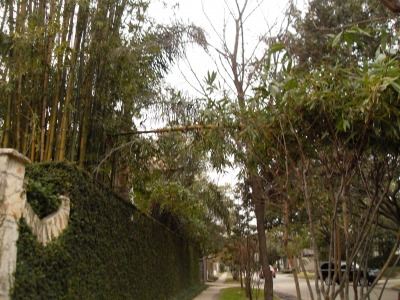 00207.jpg 00207.jpg