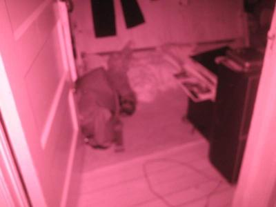 IMG_1824.JPG IMG_1824.JPG