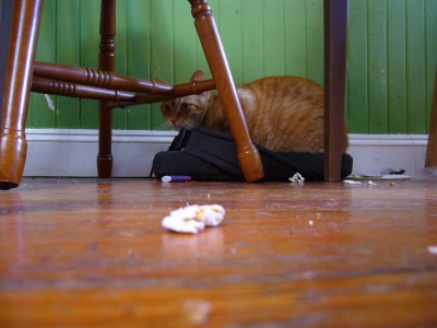 also pictured: popcorn