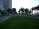 P1010368.JPG