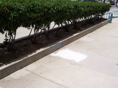Planter.jpg