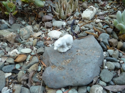 Un-Bear-Ably Adorable!