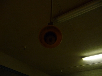 Camera?! Camera?!
