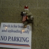 NO PARKING BEAR